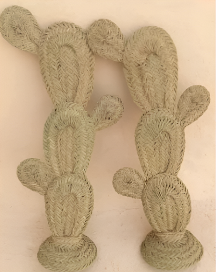 Cactus Raquette en Doum et Métal – Décoration Naturelle et Artisanale